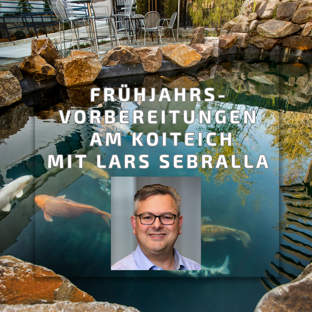 Frühjahrsvorbereitungen am Koiteich - Webinar mit Lars Sebralla am 20.03.2026 per Zoom