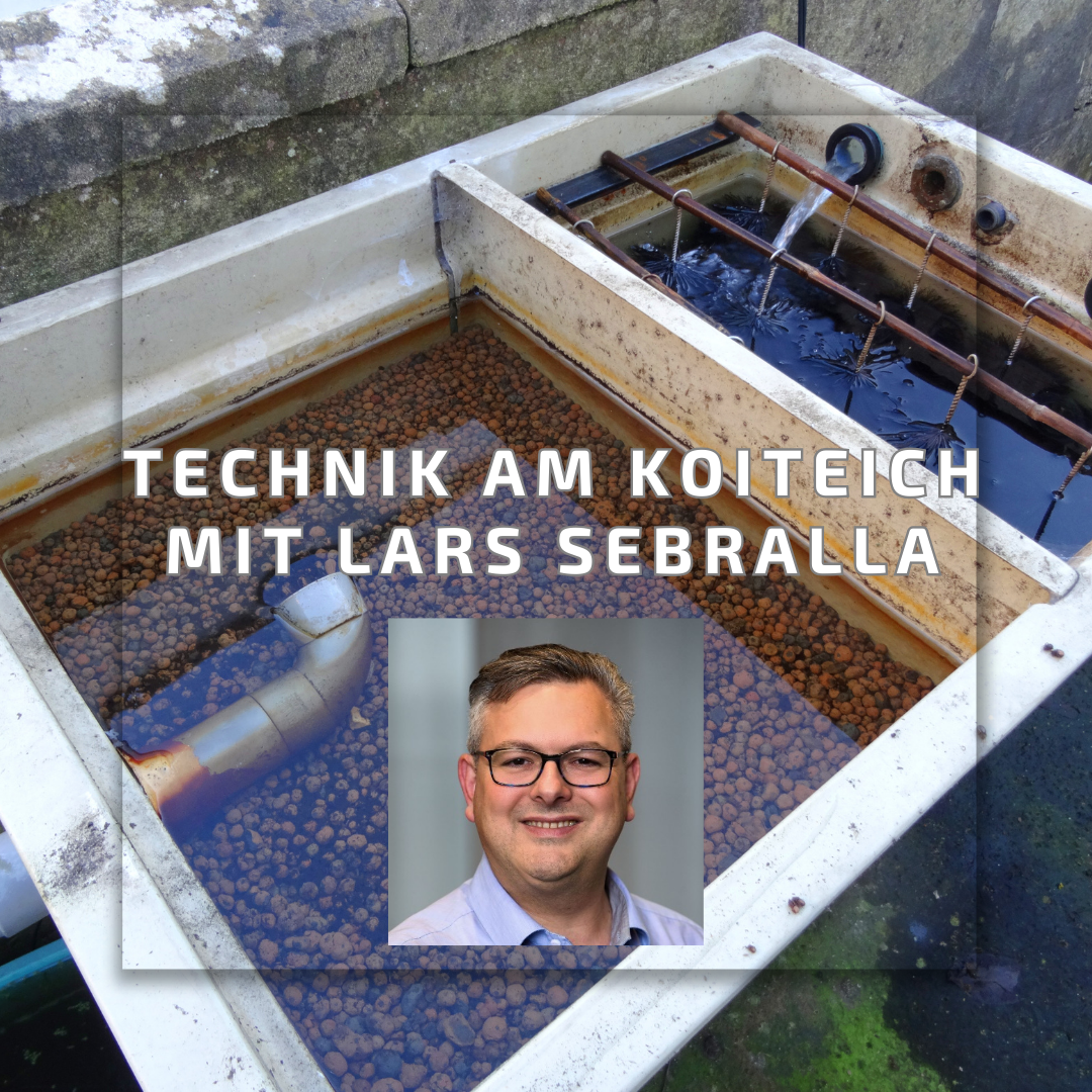Technik am Koiteich Webinar mit Lars Sebralla am 27.02.2026 per Zoom