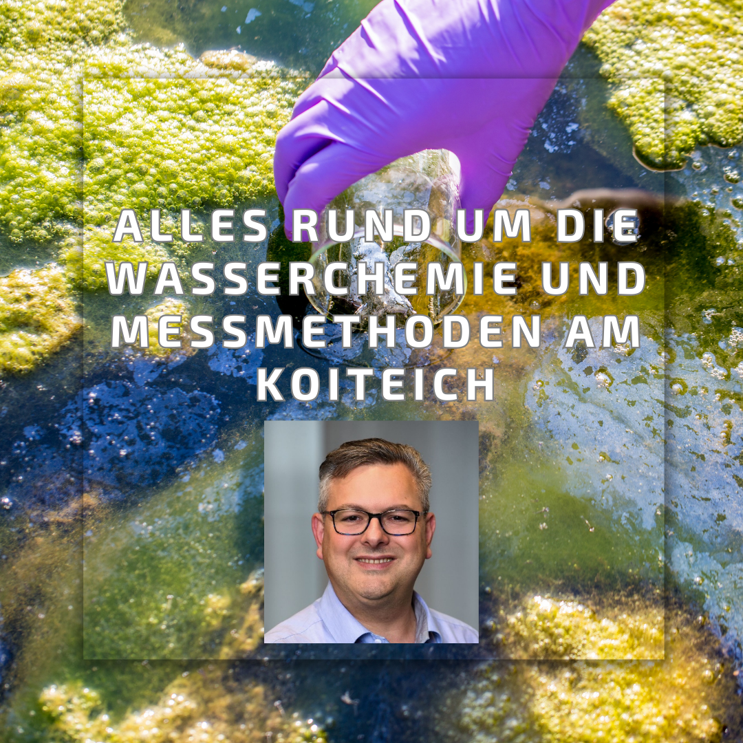 Wasserchemie und Messmethoden am Koiteich - Webinar am 13.03.2026 mit Lars Sebralla per Zoom