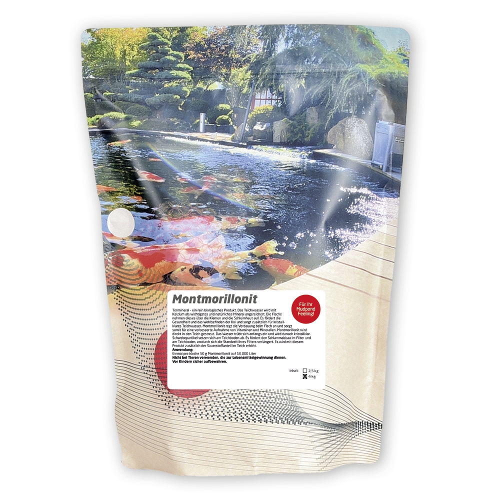 Montmorillonite (clay mineral)