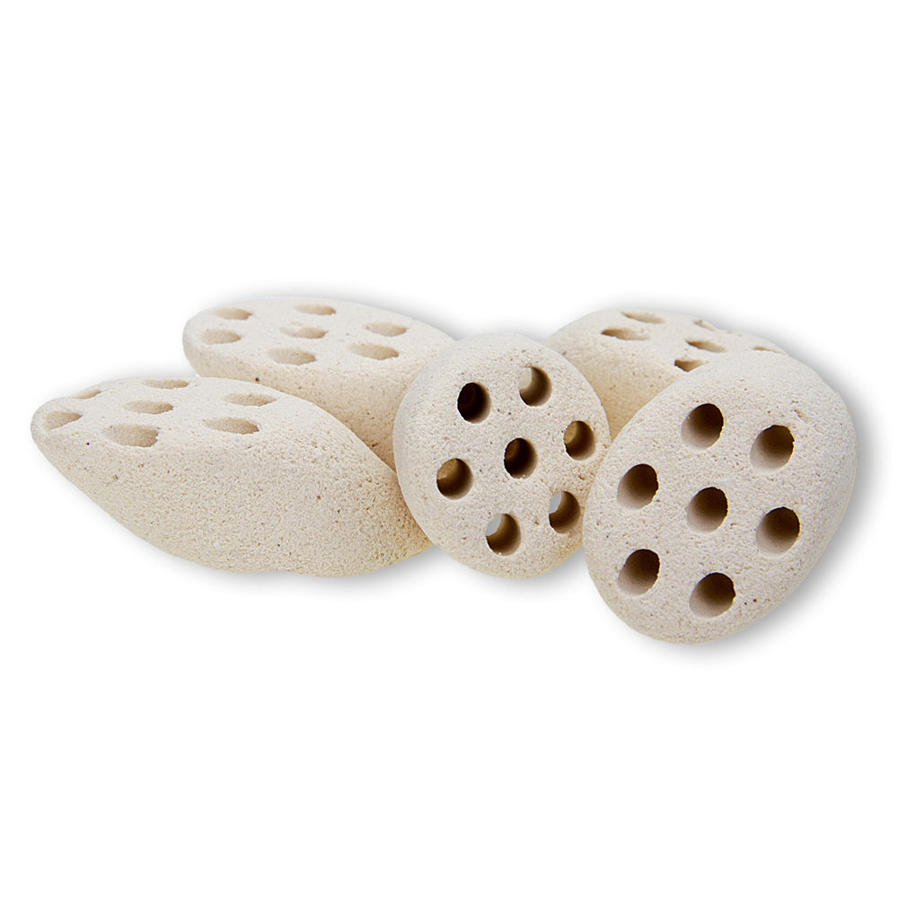 MOUNTAIN TREE Lotus Root Nitroring