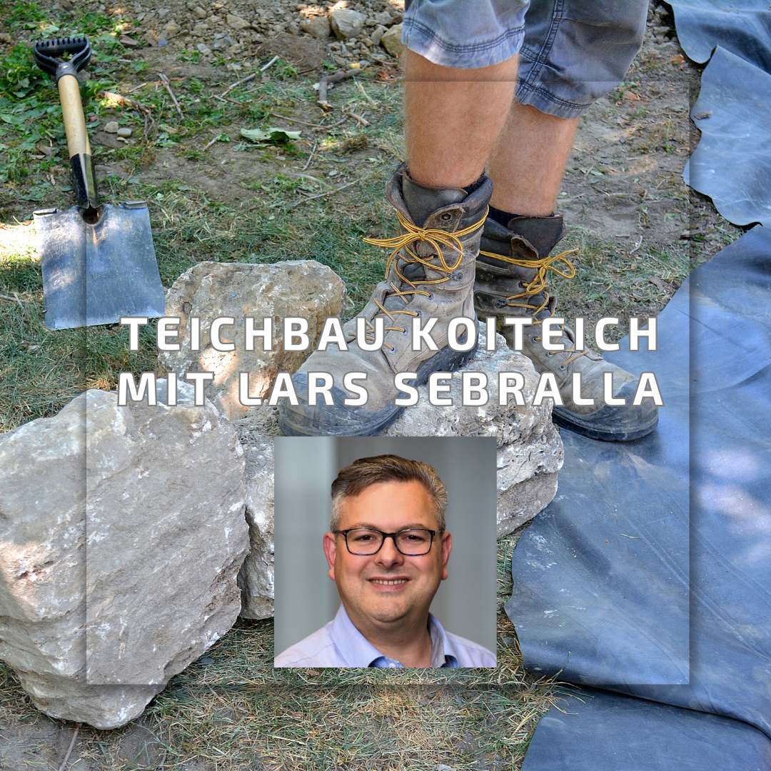 Teichbau Koiteich Webinar mit Lars Sebralla am 20.02.2026 per Zoom 