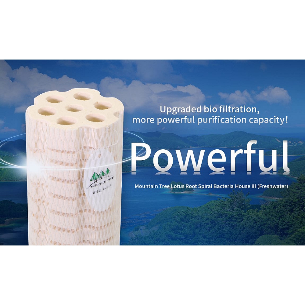 MOUNTAIN TREE Bacteria House III 8 x 25 cm, 12 pieces